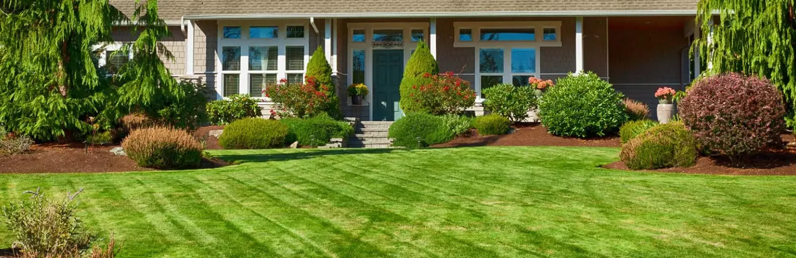 green-lawn