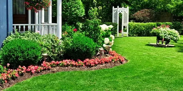 lawn